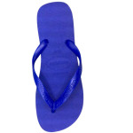 havaianas-unisex-top-marine-blue-slippers